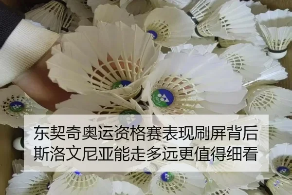 东契奇奥运资格赛表现刷屏背后 斯洛文尼亚能走多远更值得细看 - aiyouxi