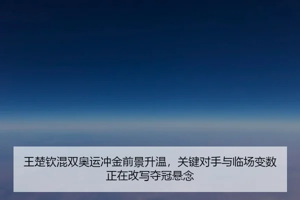 王楚钦混双奥运冲金前景升温，关键对手与临场变数正在改写夺冠悬念 - aiyouxi